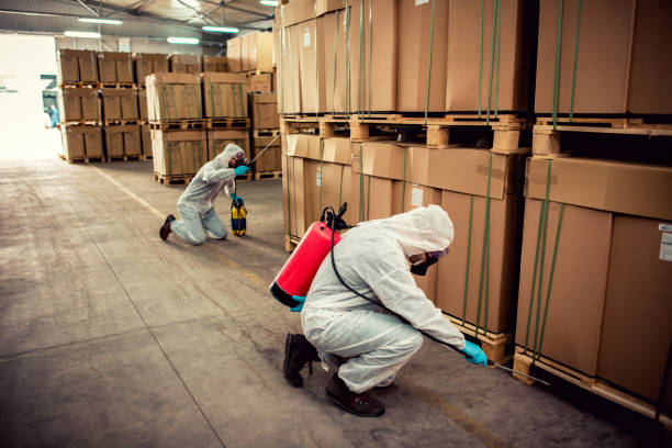 Best Wasp Removal Services  in Decatur, IL