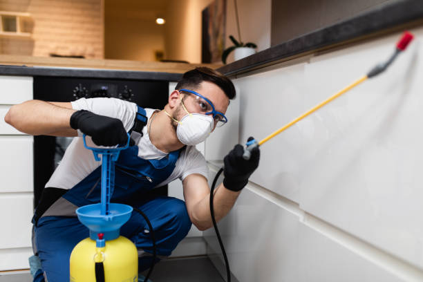 Best Wildlife Control Services  in Decatur, IL