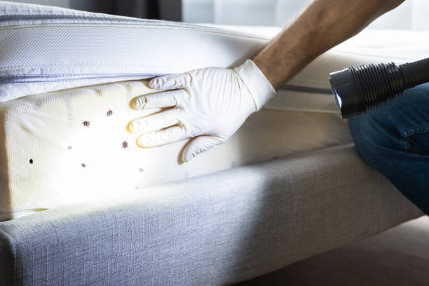 Best Mosquito Control Services  in Decatur, IL