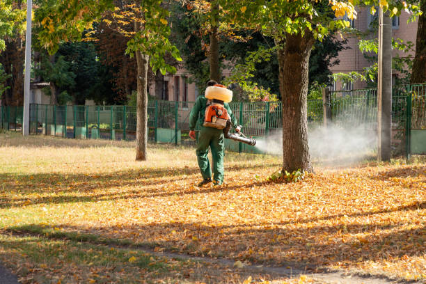 Best Cockroach Control Services  in Decatur, IL