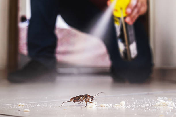 Best Exterminator Services  in Decatur, IL