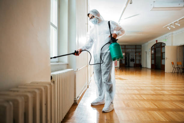 Best Affordable Pest Control Services  in Decatur, IL
