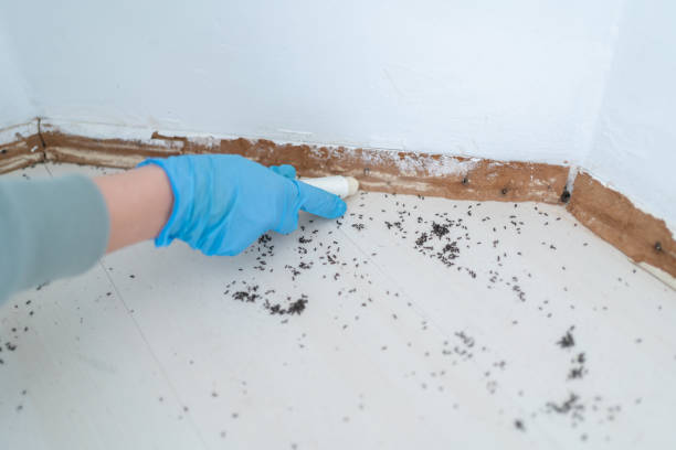 Best Residential Pest Control  in Decatur, IL