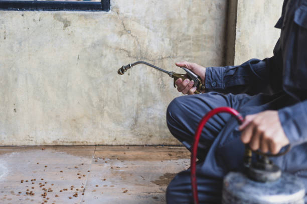 Best Wasp Removal Services  in Decatur, IL