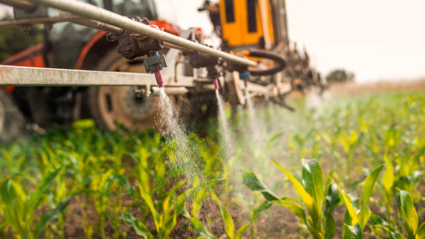 Best Pest Control for Businesses  in Decatur, IL